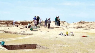 Иностранные ученые… в Сурхандарье