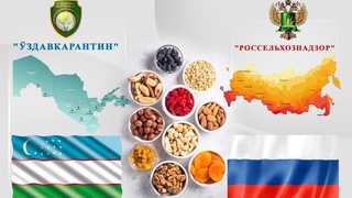 Фарғонадан Россияга қуритилган маҳсулотлар экспорти давом этади