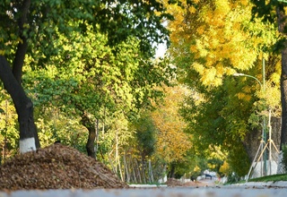 13 сентябрь кунги об-ҳаво маълумоти эълон қилинди