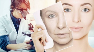 Ученым удалось омолодить клетки кожи на 30 лет