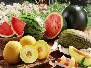 Ўзбекистон 16 та давлатга қовун ва тарвуз экспорт қилган