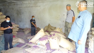 Surxondaryoda 13 tonnaga teng chigit mahsuloti oʻgʻirlandi