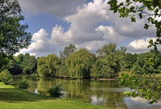 Weather forecast for May 22