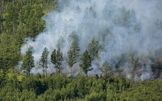 В Узбекистане принят Национальный план действий по повышению устойчивости к стихийным бедствиям и изменению климата