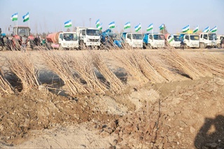 В осенний сезон 2025 года в рамках нацпроекта «Яшил макон» в Навоийской области запланирована посадка 8 842 000 саженцев декоративных и плодовых деревьев и кустарников