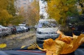 Эртага Республикамизнинг аксарият ҳудудларида ёмғир ёғади