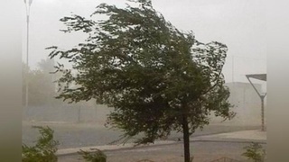 Shaharda chang aralash kuchli shamol kuzatilmoqda