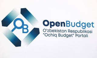 In the "Initiative Budget", projects with forcibly collected votes will be excluded from the voting stage