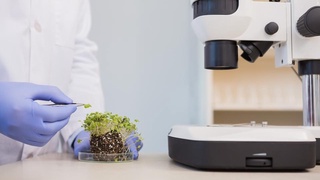 Современные решения и инновационные пути развития