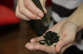 Носвой биз билган, аммо тан олмаган офат