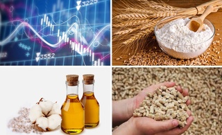 На Узбекской республиканской товарно-сырьевой бирже снизились цены на муку, хлопковое масло и шрот