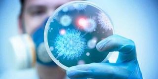 Kimlarda koronavirusning “Delta” shtammi simptomlarsiz kechishi mumkin?