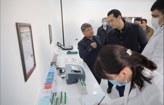Бұхара облысында болашағы зор инвестициялық жобалар үйренілуде