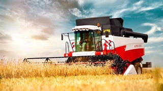 Новые горизонты развития