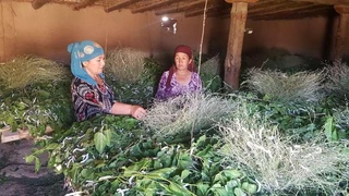 Bir mavsum ishlash pensiya tayinlash uchun bir yil mehnat stajiga oʻtadi