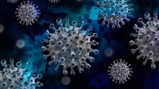 Названа главная опасность «индийского» штамма COVID-19