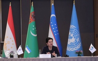 Внесенные Узбекистаном предложения станут мощным импульсом в обеспечении гендерного равенства в регионе