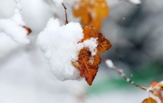 Декабрь ойи нормага нисбатан бироз иссиқроқ бўлиши кутилмоқда