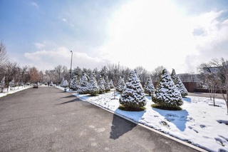 Ертең ҳаўа температурасы +15 дәрежеге шекем көтериледи