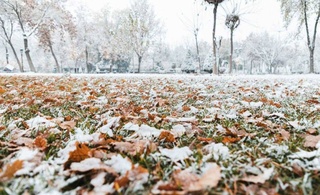 Зима в Узбекистане начнется точно по расписанию