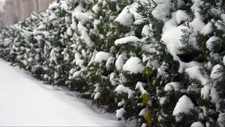 19-24 ноябрь кунлари Ўзбекистонда кечадиган об-ҳаво маълум қилинди