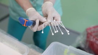 Rossiyada koronavirusining yangi XEC shtammi bilan kasallanishning ikkita holati aniqlandi