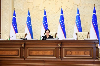 Сенат одобрил Конституционный закон о правовом статусе Администрации Президента Республики Узбекистан