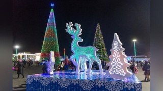 Toshkent shahrida yangi yil bayrami munosabati bilan bayram tadbirlari tashkil etiladi