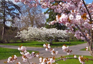 Прогноз погоды на 26 марта