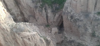 Қашқадарёда қишлоққа тушиб келган айиқ жарликдаги ғор ичига кириб олган