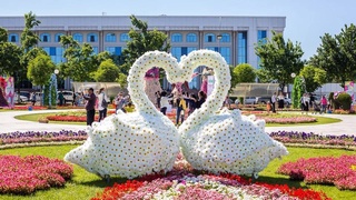 Искусство - озоновый слой общества