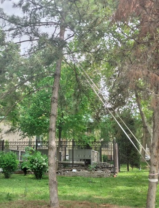 Танқид мевасини берди