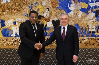 The President of Uzbekistan meets with the Meridiam Сhairman