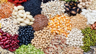 Узбекистан начал поставлять бобовые продукты на французский рынок