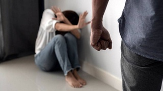 Deputies approved the law introducing criminal liability for domestic violence