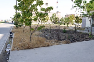 Фуқаро мурожаати: Янгиҳаётдаги "ҳаёт" ҳақида