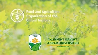 ФАО подписала соглашение с Ташкентским государственным аграрным университетом