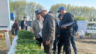 Бугунги меҳнат, эртанги даромад