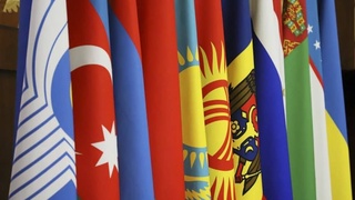 Страны СНГ укрепляют сотрудничество в противодействии Covid-19