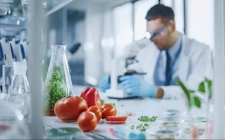 Олими рус дар бораи "ваксинаи помидорӣ", ки олимони ӯзбекистонӣ ихтироъ кардаанд, шарҳ дод