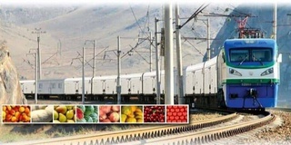 Узбекистан и Россия к 2030 году нарастят взаимные поставки по «Агроэкпрессу» до 1 млн тонн