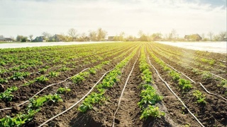 Водосбережение: эффективное использование каждой капли