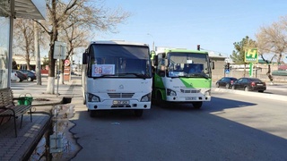 В Ташкенте возобновил свою работу автобусный маршрут № 36