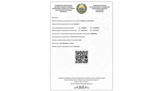 Какие страны признают сертификат о вакцинации Узбекистана?