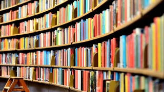 Библиотечное дело: новый уровень международного взаимодействия