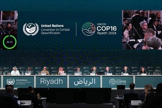 Рассмотрена необходимость мобилизации финансов для борьбы с деградацией земель, опустыниванием и засухой