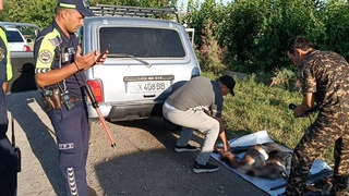 "Qizil kitob"ga kiritilgan jayronlar o‘ldirildi