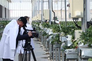 Станет ли искусственный интеллект новой волной в отечественной журналистике?