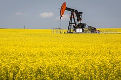 Нефть:  2014 йилги рекорд янгиланди
