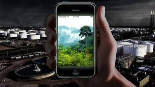 Борьба с экологическими правонарушениями: введена система 15-процентного поощрения для активных граждан